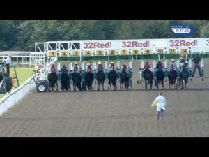 Video preview image for Kempton Park 18:40 - O'Halloran & O'Brien/british Stallion Studs EBF Fillies' Novice Stakes (5)