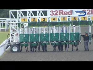 Video preview image for Kempton Park 19:40 - Cappagh Group/Breeders Backing Racing EBF Maiden Fillies' Stakes (5)