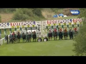 Video preview image for Salisbury 14:50 - Bet Toteexacta At betfred.com Handicap (6) (Div 2)
