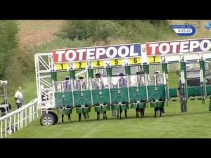 Video preview image for Salisbury 16:20 - Totepool Sovereign Stakes (Group 3) (1)