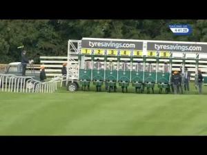 Video preview image for Beverley 16:40 - Barbara's Special Birthday Year Handicap (4)