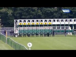 Video preview image for Nottingham 13:30 - Pawson Transport EBF Maiden Stakes (5) (Div 1)