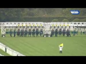 Video preview image for Newbury 14:10 - Don Deadman Memorial EBF Maiden Stakes (4) (Div 2)