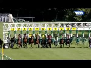 Video preview image for Nottingham 14:30 - Burton Handicap (6)