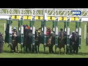 Video preview image for Newbury 16:20 - Big Group Insight Handicap (4)