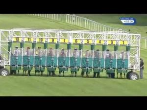Video preview image for Newbury 16:50 - Highclere Thoroughbred Racing EBF Fillies' Novice Stakes (4)