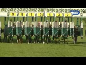 Video preview image for Catterick Bridge 19:05 - Black Bull Inn Moulton Maiden Stakes (5)