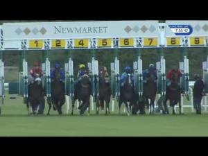 Video preview image for Newmarket 19:55 - Fly London Southend Airport To Dubrovnik Handicap (3)