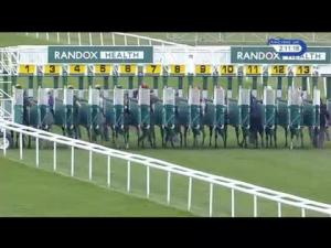 Video preview image for Newmarket 14:10 - Randox Health Grey Horse Handicap (4)
