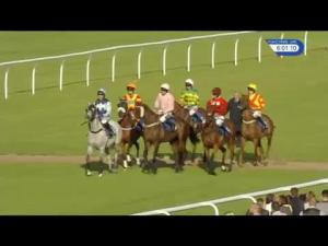 Video preview image for Market Rasen 18:00 - Jane Clugston Challenge Cup Novices' Handicap Chase (4)