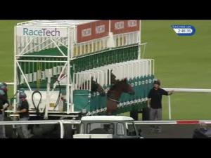 Video preview image for Kempton Park 14:45 - Happy Birthday Laura MacMillan Novice Auction Stakes (5)