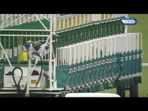 Video preview image for Kempton Park 15:15 - Matchbook Betting Exchange Maiden Fillies' Stakes (5)