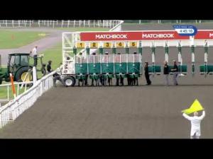 Video preview image for Kempton Park 16:45 - Matchbook Betting Podcast Handicap (4)
