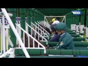 Video preview image for York 15:35 - Juddmonte International Stakes (Group 1) (1)