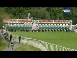 Video preview image for York 13:55 - Goffs Premier Yearling Stakes (2)