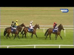 Video preview image for Stratford-on-Avon 15:20 - Marion Ward 65th Birthday Novices' Handicap Hurdle (5)