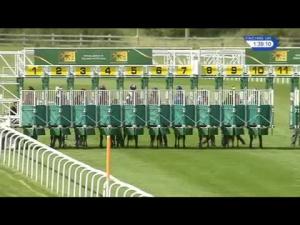 Video preview image for Newmarket 13:35 - Trm Excellence In Equine Nutrition EBF Fillies' Novice Stakes (4) (Div 1)