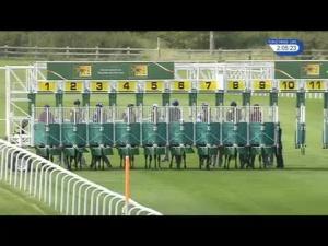 Video preview image for Newmarket 14:05 - Trm Excellence In Equine Nutrition EBF Fillies' Novice Stakes (4) (Div 2)