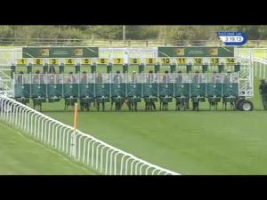 Video preview image for Newmarket 15:15 - Farm & Stable Trm Distribution EBF Novice Stakes (4)