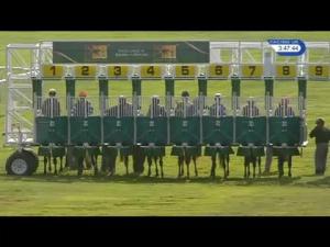 Video preview image for Newmarket 15:45 - Equine Supplements You Can Trust Handicap (4)