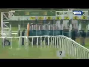Video preview image for Newmarket 16:20 - Horse Requisites Newmarket Stockist Of Trm Maiden Stakes (5)