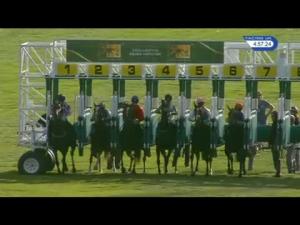 Video preview image for Newmarket 16:55 - Tba Centenary Fillies' Handicap (3)