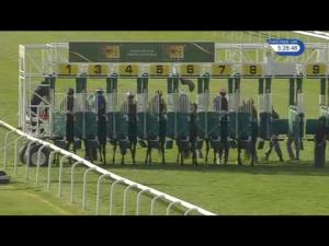 Video preview image for Newmarket 17:25 - Invest In Calphormin Handicap (3)