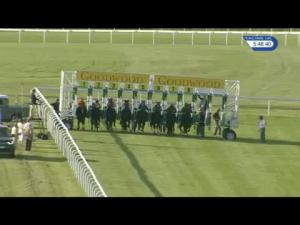 Video preview image for Goodwood 17:45 - EBF Maiden Stakes (4)