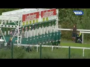 Video preview image for Hamilton Park 18:05 - Whysettle It Novice Stakes (5)