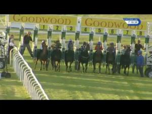 Video preview image for Goodwood 19:15 - Thames Materials Ltd EBF Fillies' Handicap (3)