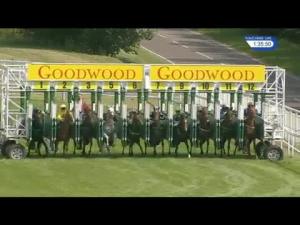 Video preview image for Goodwood 13:35 - Absolute Aesthetics Fillies' Novice Auction Stakes (4)