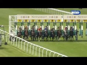 Video preview image for Newmarket 14:05 - Heath Court Hotel EBF Novice Stakes (4)