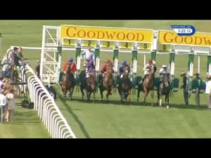 Video preview image for Goodwood 15:20 - Grosvenor Sport Celebration Mile Stakes (Group 2) (1)