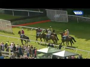 Video preview image for Cartmel 15:25 - Grant Thornton EBF Stallions Novices' Chase (4)