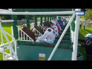 Video preview image for York 15:35 - Betfred Ebor (Heritage Handicap) (2) 