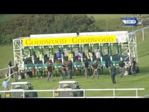 Video preview image for Goodwood 17:05 - Golf Academy At Goodwood Handicap (4)