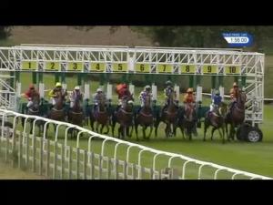 Video preview image for Beverley 13:55 - John Jenkins Memorial Claiming Stakes (5)