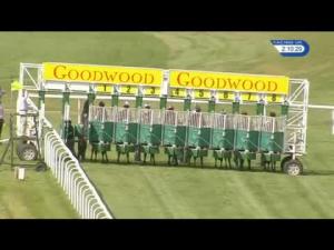 Video preview image for Goodwood 14:10 - Butlins Novice Auction Stakes (5)