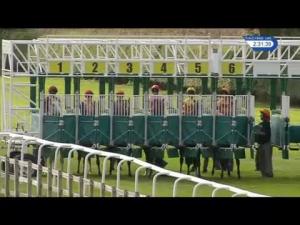 Video preview image for Beverley 14:30 - Silk Mill Bar Ripponden Welcomes You Novice Auction Stakes (5)