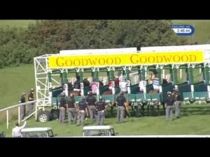 Video preview image for Goodwood 14:45 - Chichester City Selling Stakes (4)