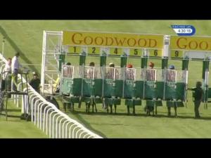 Video preview image for Goodwood 16:30 - Weatherbys Racing Bank Supreme Stakes (Group 3) (1)