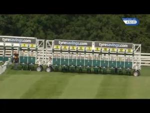 Video preview image for Beverley 16:50 - Beverley Lions Handicap (6)