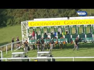 Video preview image for Goodwood 17:05 - Levin Down Fillies' Handicap (3)