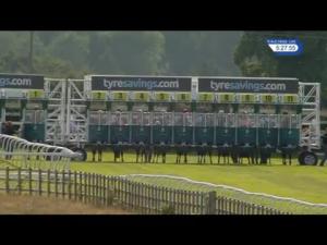 Video preview image for Beverley 17:25 - Racing Again Next Saturday Handicap (6) (Div 1)