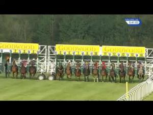 Video preview image for Goodwood 17:40 - Molecomb Blue Handicap (5)