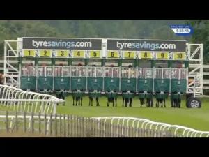 Video preview image for Beverley 17:55 - Racing Again Next Saturday Handicap (6) (Div 2)