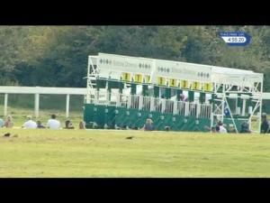 Video preview image for Epsom Downs 16:55 - Stanley Wootton Handicap (3)