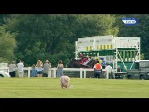 Video preview image for Epsom Downs 17:25 - Mustang Horsepower At Trust Ford Handicap (4)
