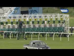 Video preview image for Musselburgh 14:30 - Isn't It Wiser To Bet At racinguk.com Handicap (5)