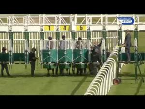 Video preview image for Musselburgh 16:30 - Catherine Roache Handicap (6)